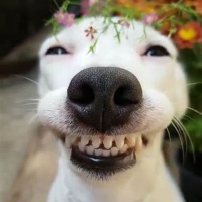 malikass's profile picture. 