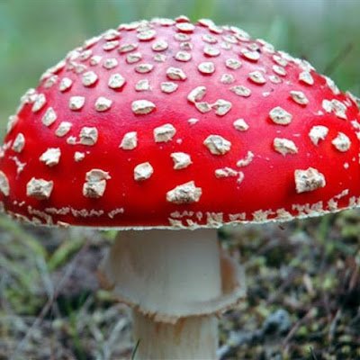 Pv2021L47164's profile picture. 