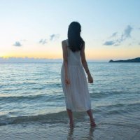 藤原文葉 (@ye33766) 's Twitter Profile