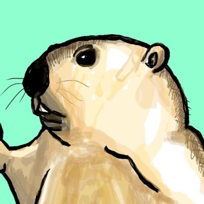 マーモット中毒隔離患者です。イラスト描いたり動画紹介します。 MARMOT ART / Drawing marmot / Exotic Black TV fan