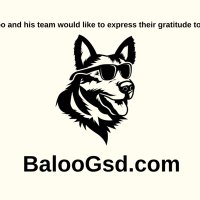 Baloogsd(@BalooCreate) 's Twitter Profile Photo