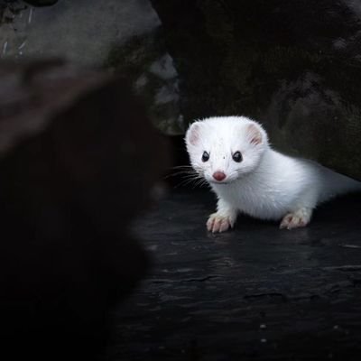 chandubareli26's profile picture. Don't sell your authenticity 💖💖