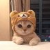 Cherry (@cherrykhan_1) Twitter profile photo Cherry (@cherrykhan_1) Twitter profile photo
