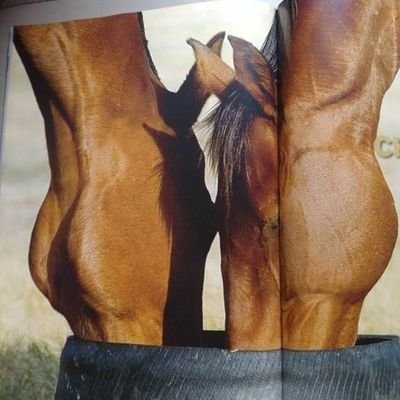 1_wakanda's profile picture. Veni vidi vici

Curious 🍆... 🍑 to the front/DM