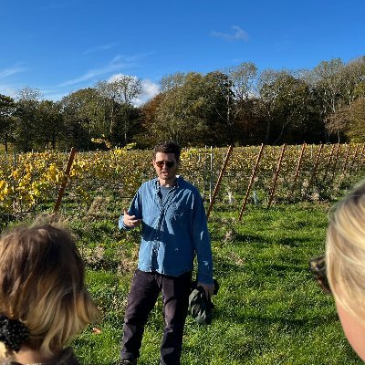 toomey_n's profile picture. English Wine  |   WSET Lv 3