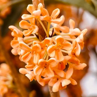 ちょいワル親父😎(乗り過ごし多め)