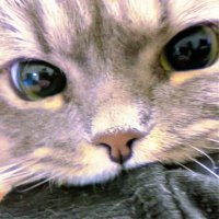 fff (@day28x) 's Twitter Profile