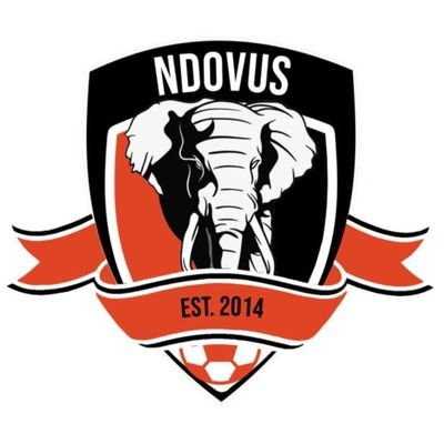 TeamNdovusFc's profile picture. 