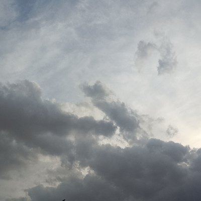 V0_38's profile picture. 