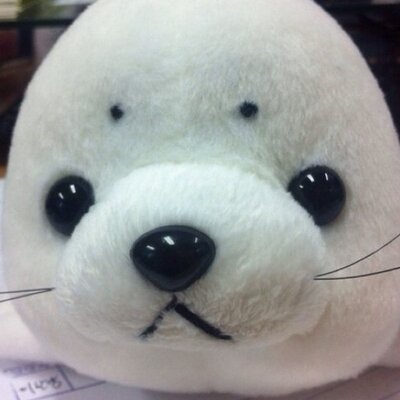 maruhanadul's profile image