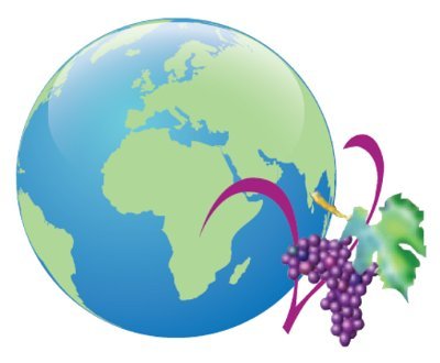 Vine International Christian Academy Profile