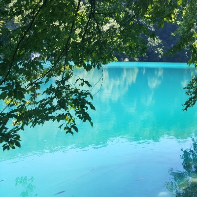 BreadSprout28's profile picture. Originally an account made to keep up with streamer related stuff, now some other things too.

Mostly inactive (or at least trying to be).