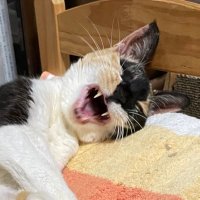 junchan (@promax225) 's Twitter Profile Photo