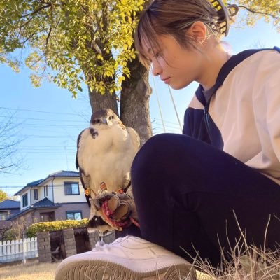 川総弓道部/猛禽馴致 /TWLC28期卒業 / モモンガ/猛禽ライフ始まりました🦅/ハリスホーク/ セアカノスリ/保護ネコ🐈‍⬛/ロシアンブルー/ポメラニアン/ノルウェージャンフォレストキャット/soar up/ふれあい&フライトショー活動