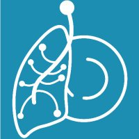 Biomimetics - KU Leuven (@biomimeticskul) 's Twitter Profile