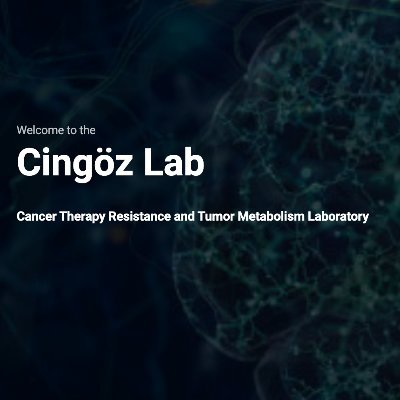 Cancer Therapy Resistance and Tumor Metabolism Lab. PI: @ahmetcingoz