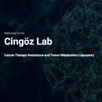 Cingöz Lab (@acingozlab) 's Twitter Profile