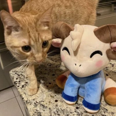 JamesSchla53164's profile picture. 