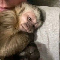 🤨 (@whinykiddoo) Twitter profile photo