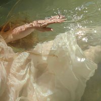 Ann*β§π·π«§ βπ (@_anavocadojuice) 's Twitter Profile