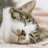 WhyLovingCats's profile image