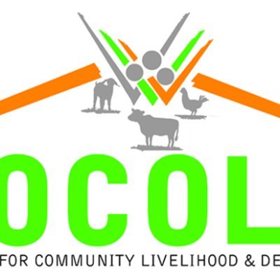 FOCOLD is a non partisan, non profit making whose aim is to improve the well being of vulnerable people through provision of community transformation services