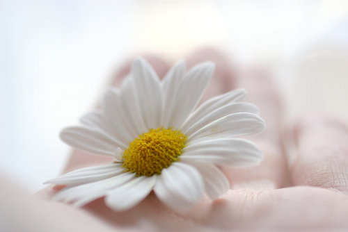 nicermath15's profile picture. -PhotoGraphy -Art~معلمة رياضيات الحب 👩‍🏫شغف بالتطوير التقني والذكاء الاصطناعي  وتعلم كل ما هو جديد