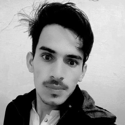 MuneerRehm72658's profile picture. 