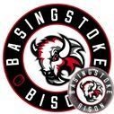 Basingstoke Bison(@BisonHockey) 's Twitter Profileg