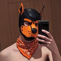 Fox (@aservicefox) 's Twitter Profile