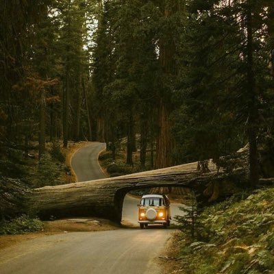 RasitSenol2's profile picture. 