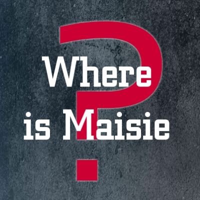 4-year-old Maisie has gone missing - and someone knows more than they are prepared to share. This exciting 'whodunnit' takes flight in 2024.