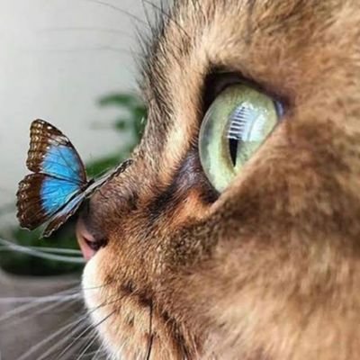 keLebekruhLu's profile picture. 🦞aKrep