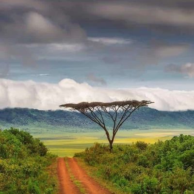 Mkulima, Environmental Conservator,Lawyer, Author & Father