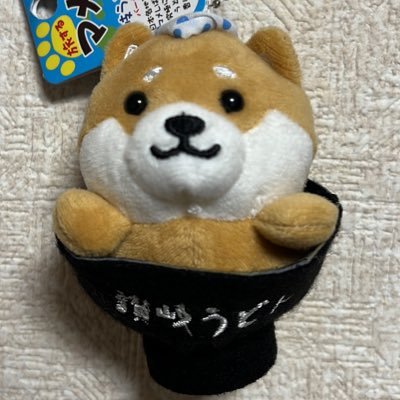 KashiwaShiba's profile picture. 柏市在住　旅するマメしばも探してます