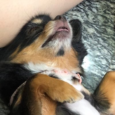 sarinchatr's profile picture. ทำได้ ทำได้ ทำได้ 💪🏻