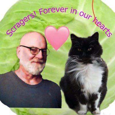 Friend to all animals but love cats (in memory of my cat Twister) header is @StrayLiotta