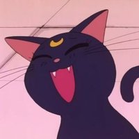 나쵸 (@nacho_vy) 's Twitter Profile