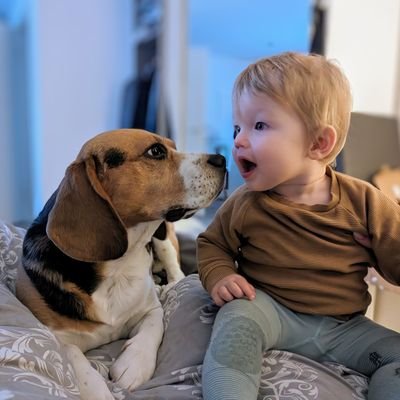 stah83's profile picture. 