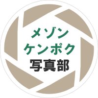 メゾン・ケンポクの写真部(@maisonkenpoku_p) 's Twitter Profile Photo