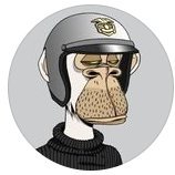 Egravity (@nn_sood) 's Twitter Profile