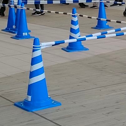 lack9526's profile picture. よろしくおねがいします
成人済み