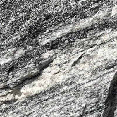 bMuuSiesalid3cn's profile picture. ゲーム大好き！ #謎ゲッサー