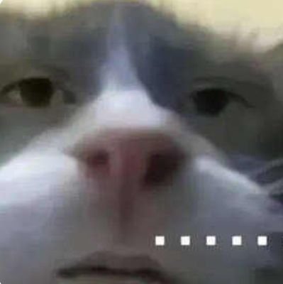 luqinhng189266's profile picture. 