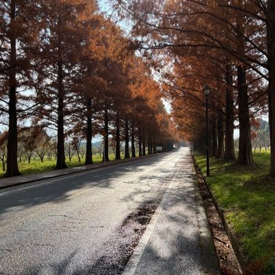 puni_clo's profile picture. 最寄りは大阪のJR大和路線🚃 午前中が暇過ぎる😔