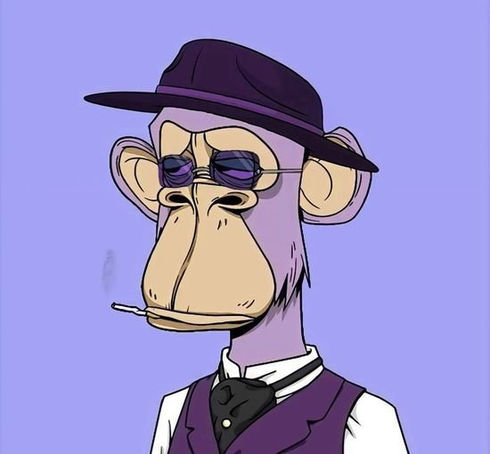 blubamopal22781's profile picture. 