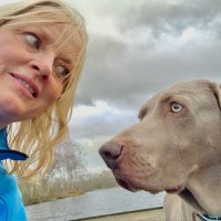 Sara Cox (@saranaidinecox) 's Twitter Profile Photo Sara Cox (@saranaidinecox) 's Twitter Profile Photo