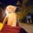 nxtlvlguy's profile image