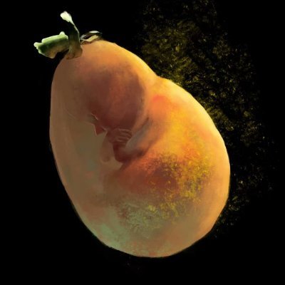 xingmogumi82578's profile picture. 