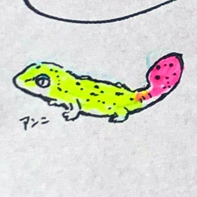 2X4niningasi's profile picture. ヒョウモントカゲモドキ・ハイイエローのアンニ♂(H25年6月お迎え)を飼育しています。色んな生き物が好き。群を抜いて爬虫類が好き。無言フォロー大歓迎。こちらも無言フォローしがちです御容赦下さい🙏